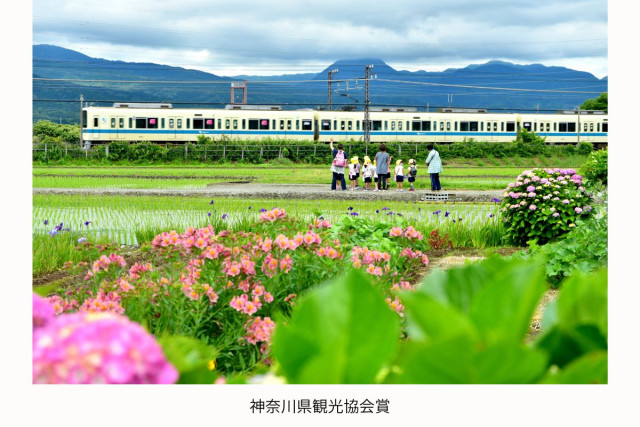 神奈川県私鉄連合　「神奈川公共交通でつむぐ神奈川の旅　フォトコンテスト」受賞作品発表